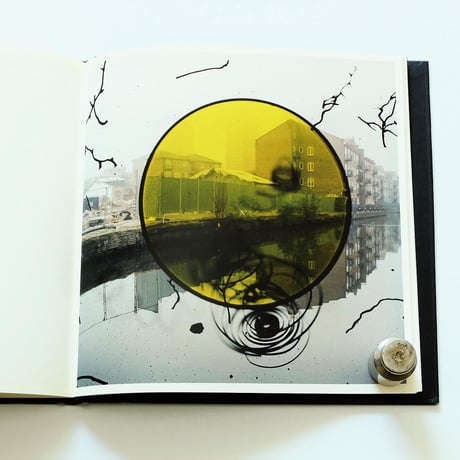 Stephen Gill: Talking to Ants