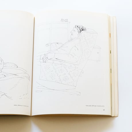 Pictures by David Hockney