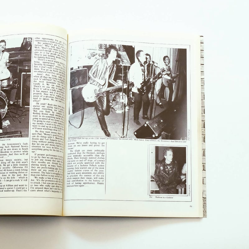 1988 The New Wave Punk Rock Explosion | Book Er