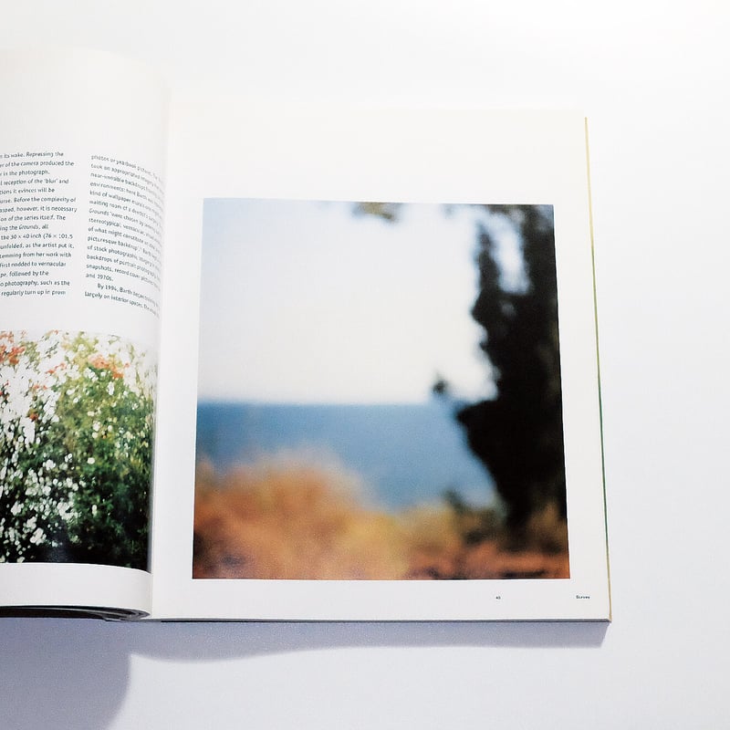 Uta Barth: Contemporary Artists Series | Book E