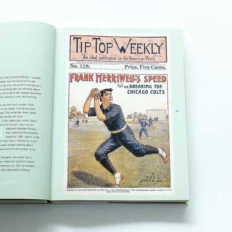 Baseball: The National Pastime in Art and Literature