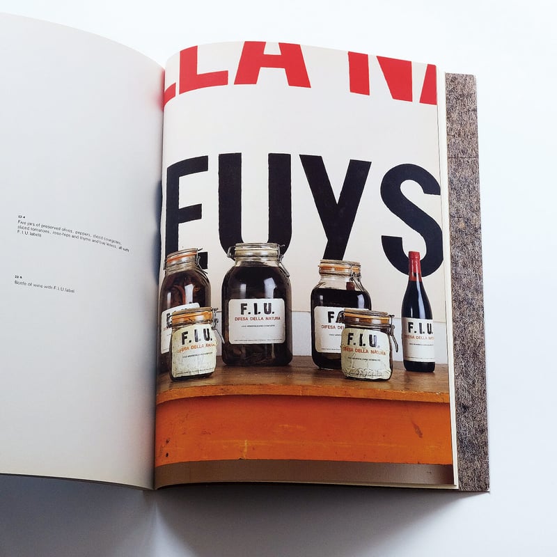 Josef Beuys with Fat and Felt | Book Ernest