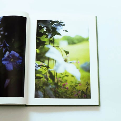 Terri Weifenbach: The may sun
