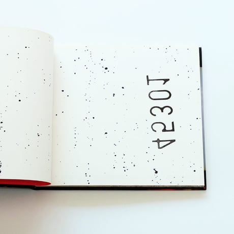 45301 by Viggo Mortensen