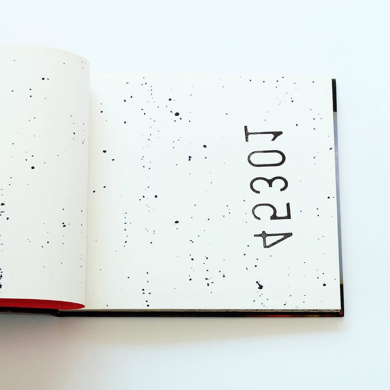 45301 by Viggo Mortensen | Book Ernest