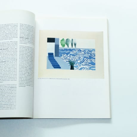 Hockney in California