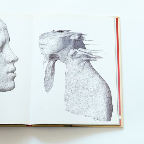 The Impossible Image