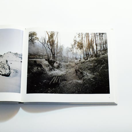 Edgar Martins: Topologies