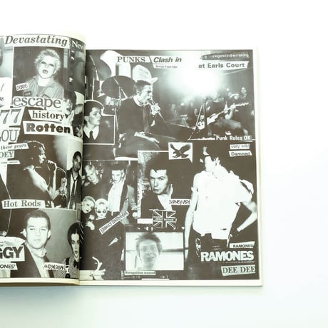 1988 The New Wave Punk Rock Explosion