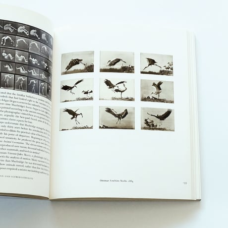 Photography Until Now