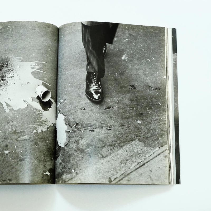 Elliott Erwitt' New York | Book Ernest Elliott Erwitt' New York | Book Ernest