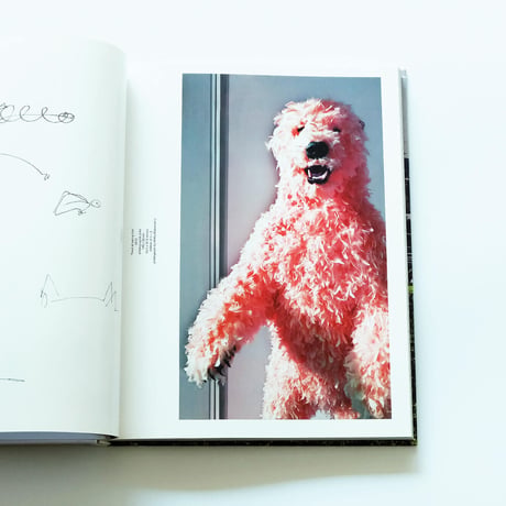 Paola Pivi: Perrotin