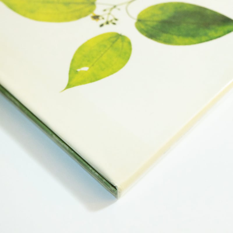 Nick Knight: Flora | Book Ernest
