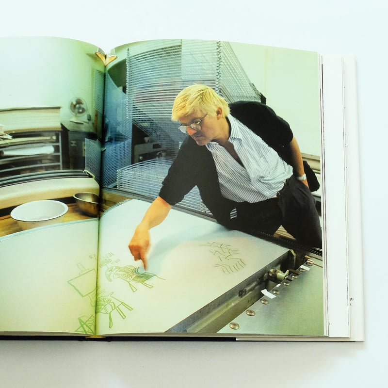 david capy ダヴィドカピィ よりこ様 2点 David Hockney: That's the Way I See It | Book E