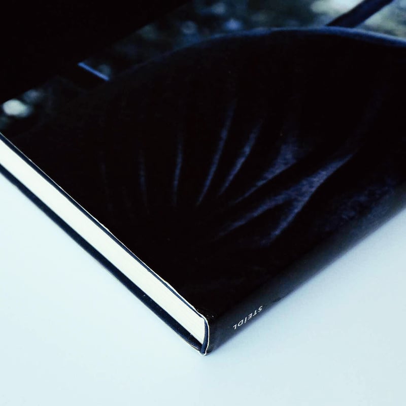 Sam Taylor-Wood: Hayward Gallery | Book Ernest