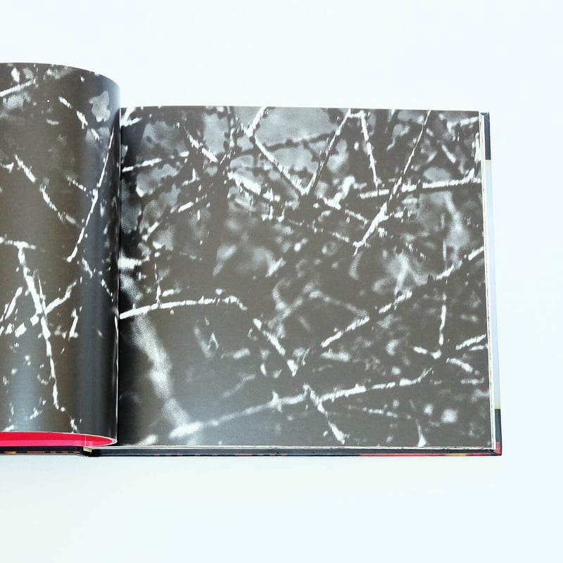 45301 by Viggo Mortensen | Book Ernest