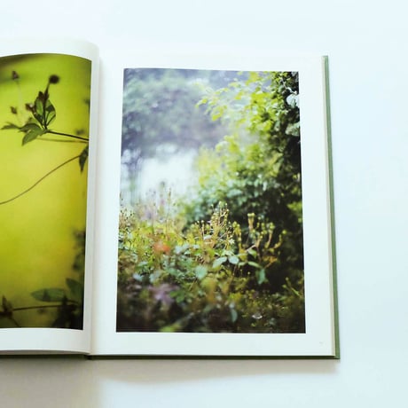 Terri Weifenbach: The may sun
