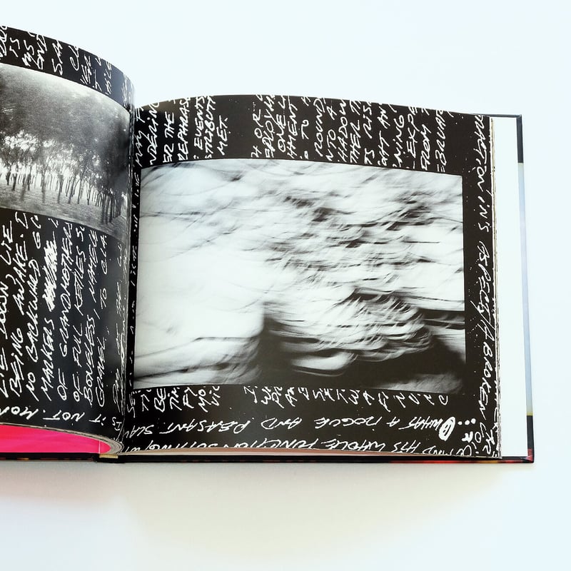 45301 by Viggo Mortensen | Book Ernest