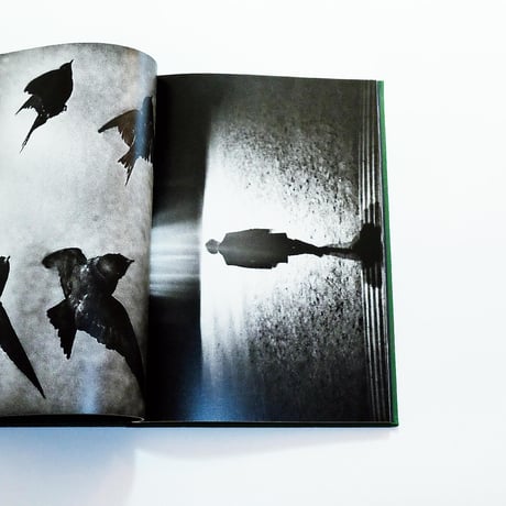 Yusuf Sevincli: Walking