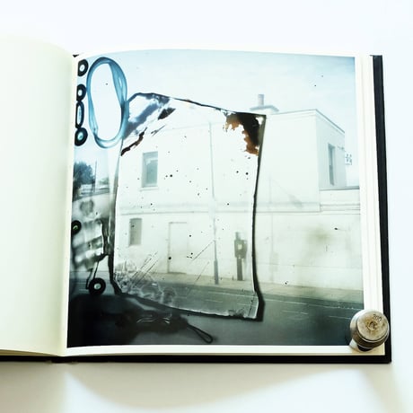 Stephen Gill: Talking to Ants