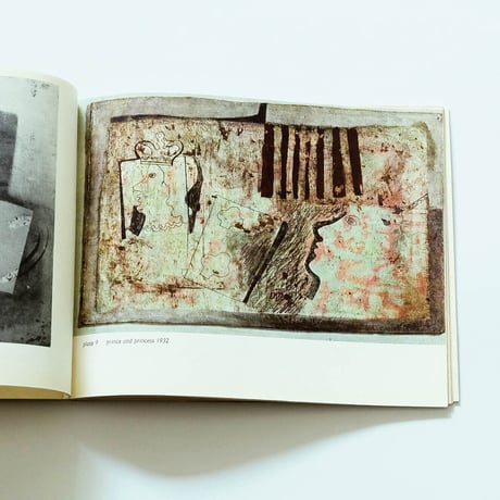 Ben Nicholson: The Penguin Modern Painters