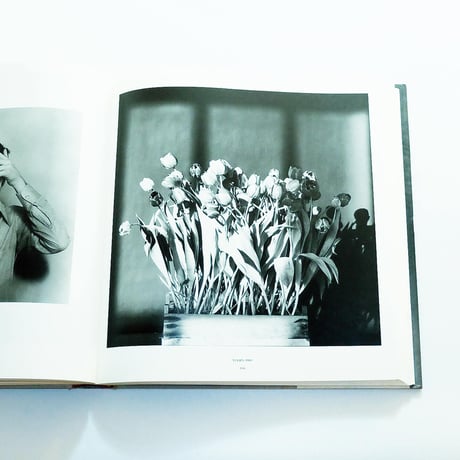 Robert Mapplethorpe: Mapplethorpe