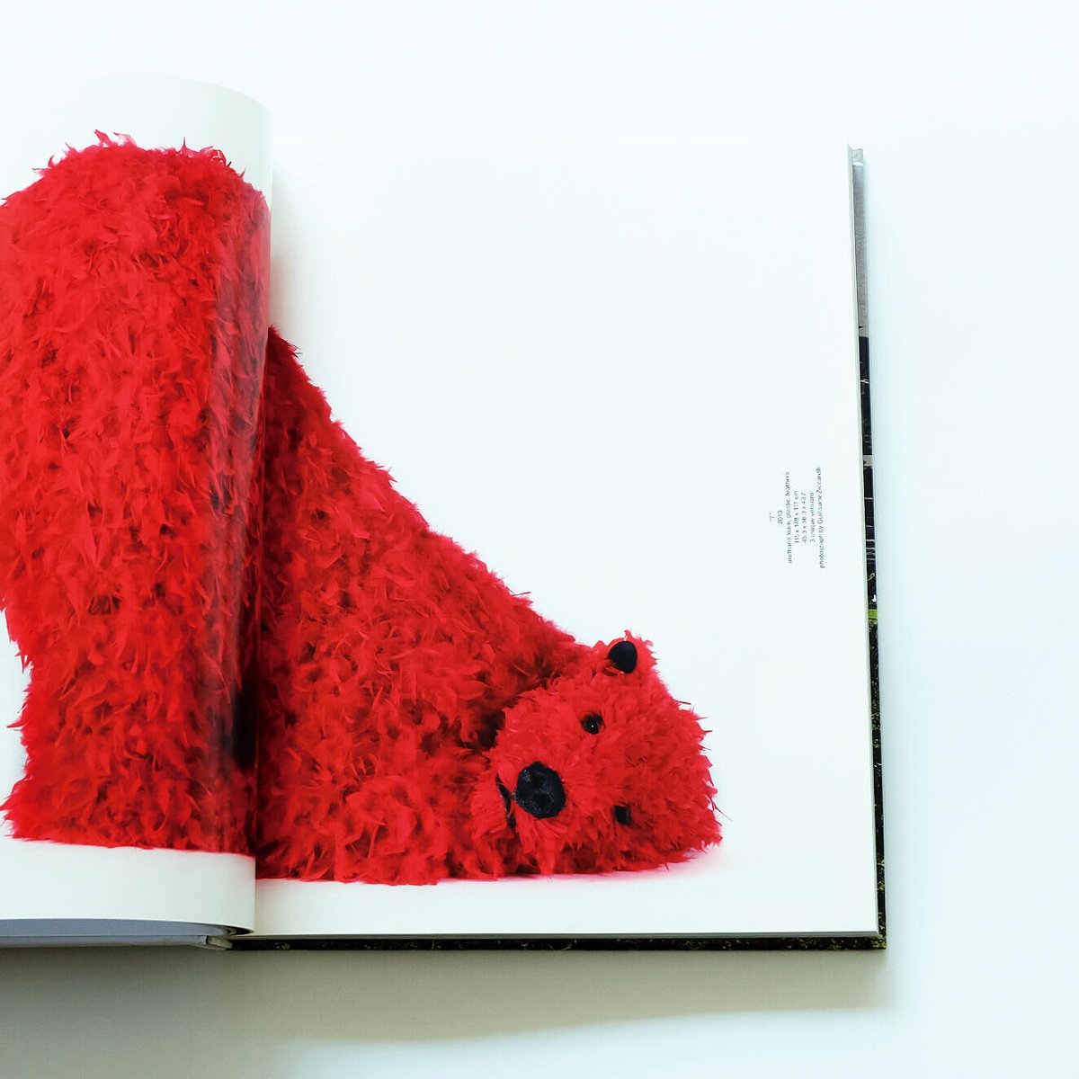 Paola Pivi: Perrotin | Book Ernest