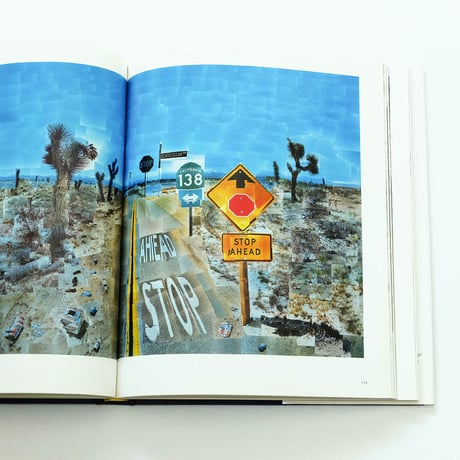 David Hockney: That's the Way I See It