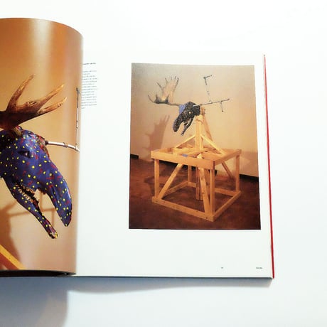 Jimmie Durham: Phaidon Contemporary Artists Series