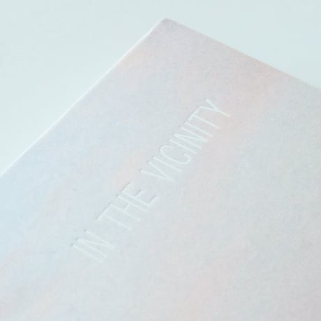 Ed Panar: In The Vicinity