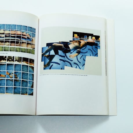Hockney in California