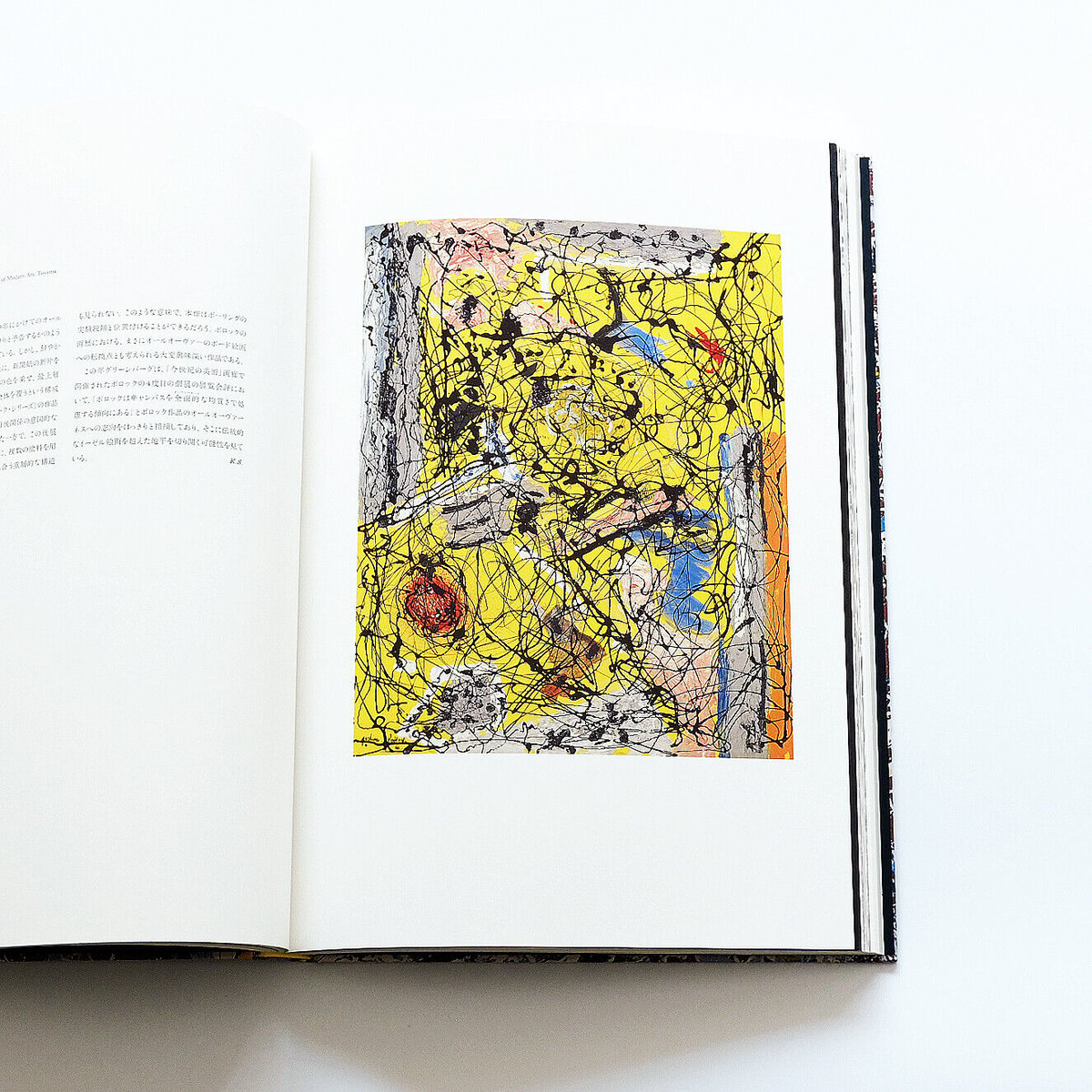 Jackson Pollock:生誕100周年ジャクソン・ポロック展 | Book Ernest Jackson Pollock:生誕100周年ジャクソン・ポロック展 | Book Ernest