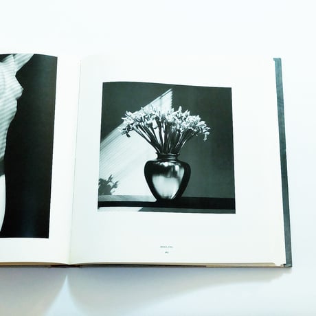 Robert Mapplethorpe: Mapplethorpe