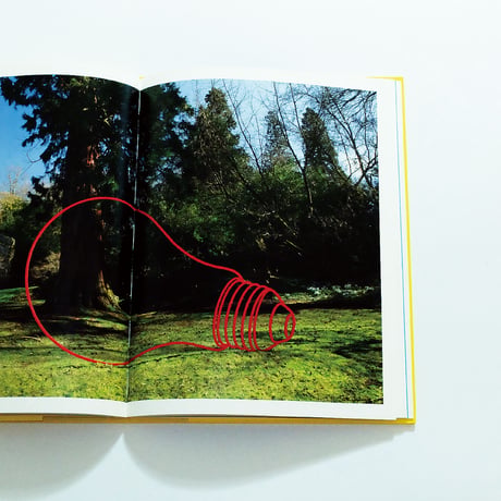 Michael Craig-Martin at Chatsworth