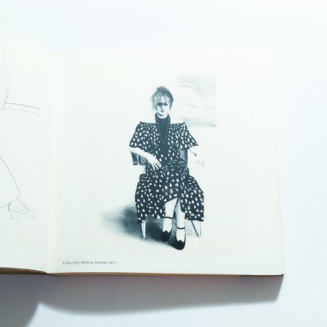 David Hockney: Travels with Pen, Pencil and Ink