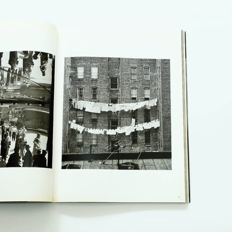 Elliott Erwitt' New York