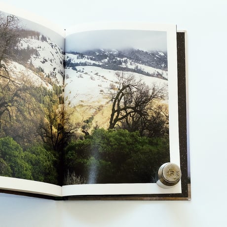 Ed Panar: In The Vicinity