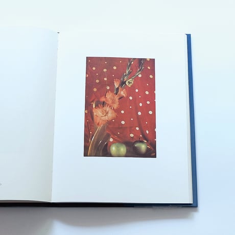 Sheila Metzner: Color
