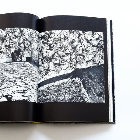 Jackson Pollock：生誕100周年ジャクソン・ポロック展