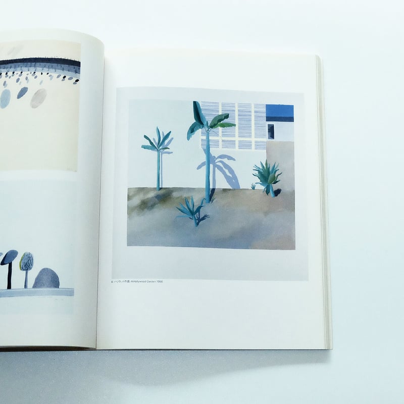 Hockney in California | Book Ernest