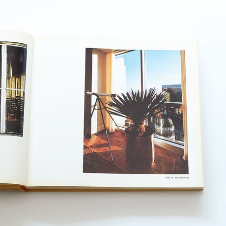 The New Color Photography