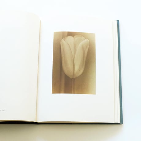 Sheila Metzner: Color