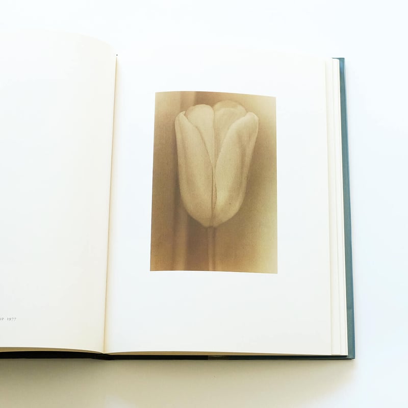 Sheila Metzner: Color | Book Ernest Sheila Metzner: Color | Book Ernest