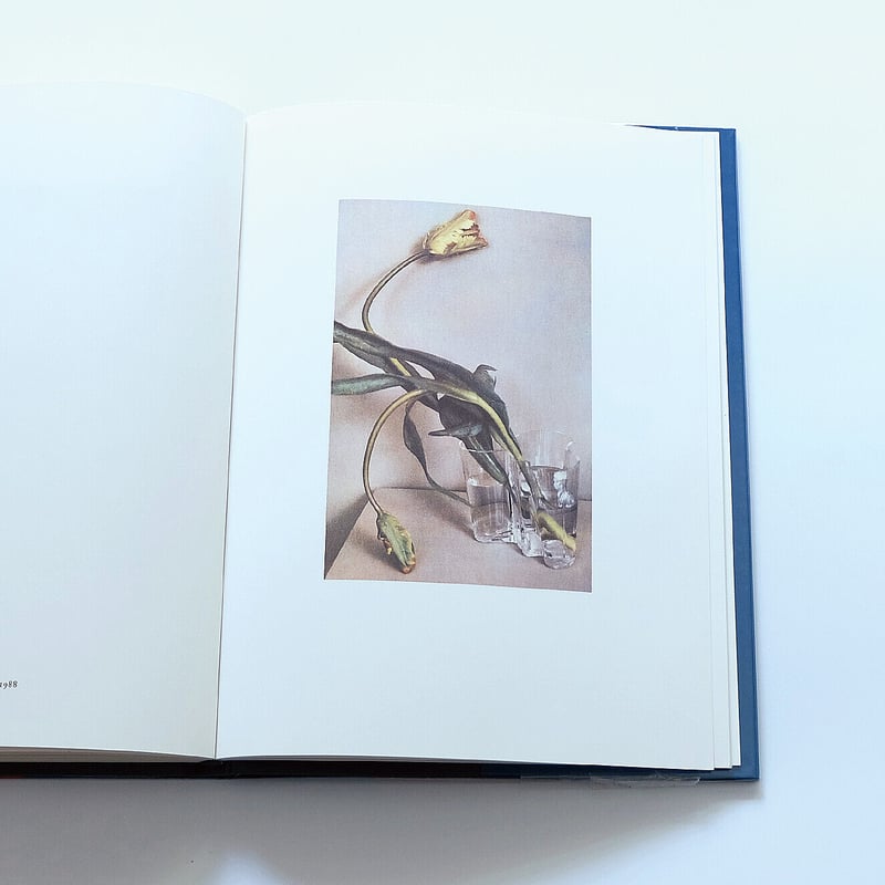 Sheila Metzner: Color | Book Ernest Sheila Metzner: Color | Book Ernest