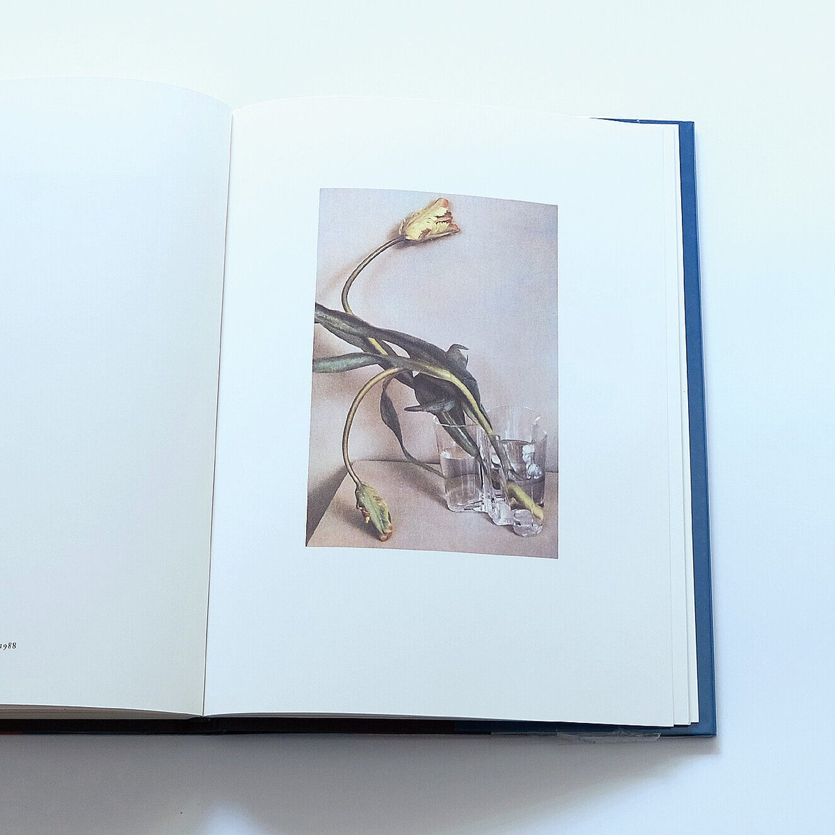 シーラ・メッツナー写真集『Color』Sheila Metzner fit=scale-down,w=1200
