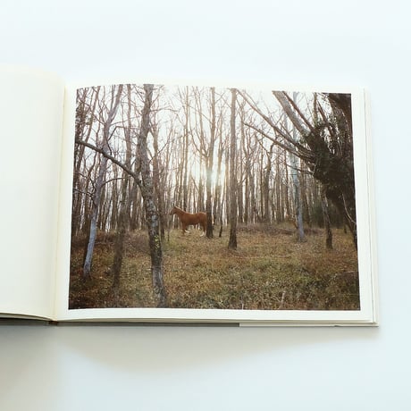 Yvette Monahan: The Time of Dreaming the World Awake