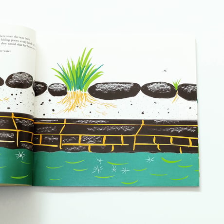 Bruno Munari: Romilda The Frog