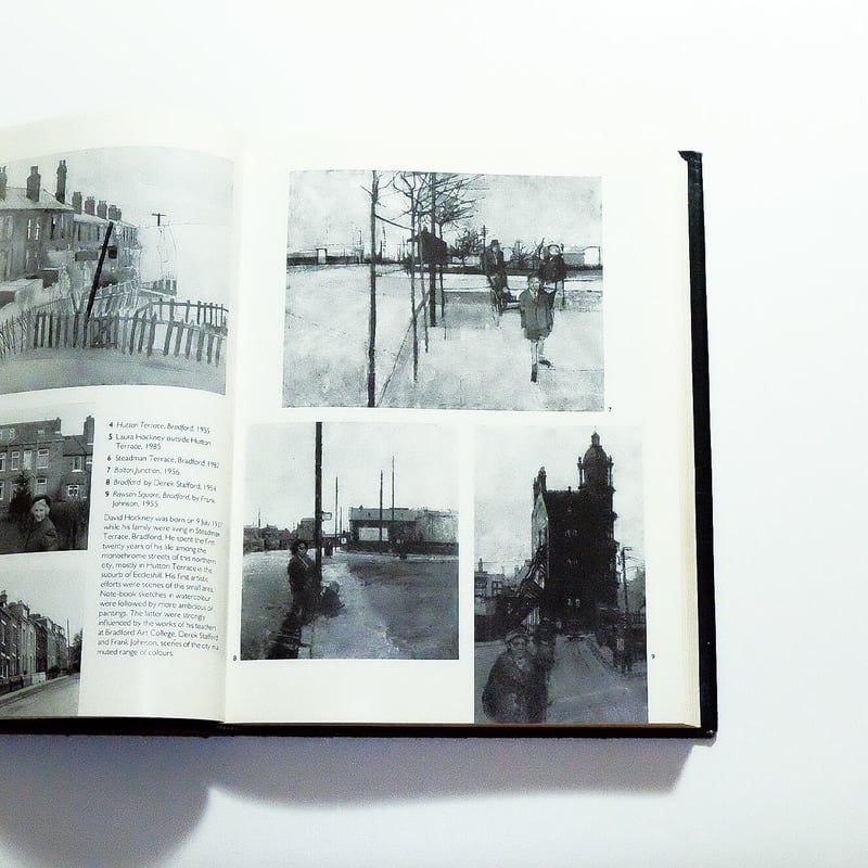 Portrait of David Hockney | Book Ernest