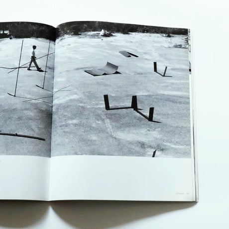 Anthony Caro: Art Catalogue