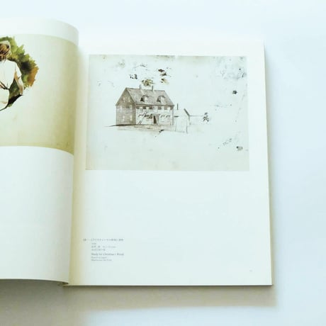 Andrew Wyeth: Emotion and Creation